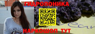 шишки Волжский