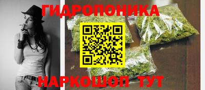 шишки Волжский