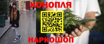 шишки Волжский