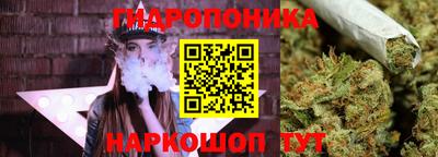 шишки Волжский