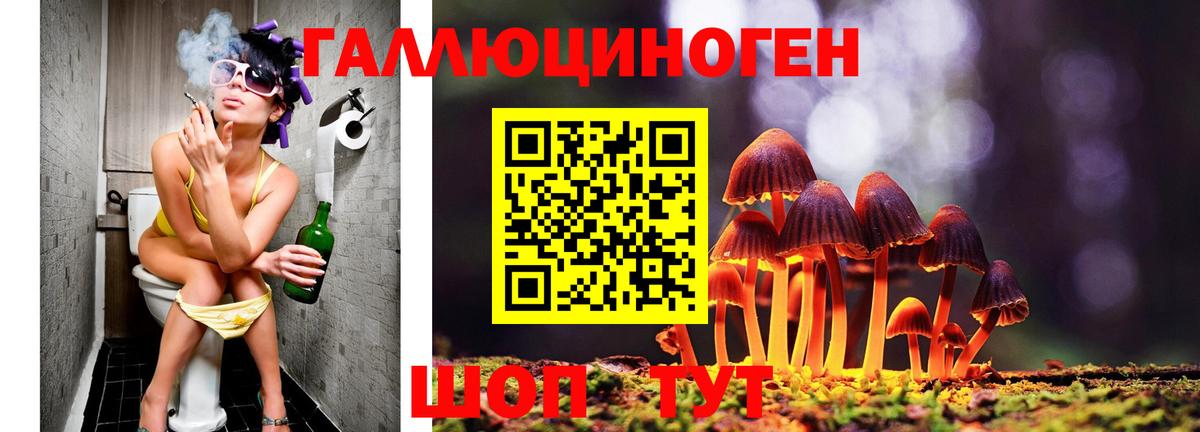 Галлюциногенные грибы GOLDEN TEACHER Белая Калитва