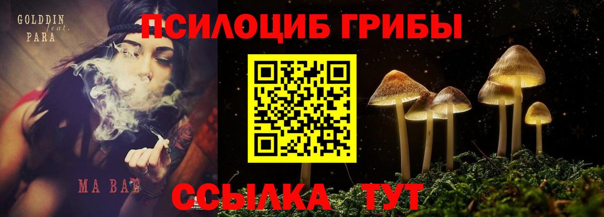 Псилоцибиновые грибы Magic Shrooms  Вход с VPN  Белая Калитва 